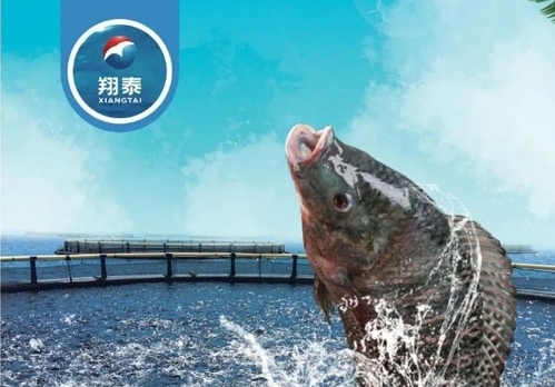 翔泰漁業(yè)深耕【海南鯛】近二十年，堅(jiān)持高品質(zhì)水產(chǎn)品穩(wěn)定供應(yīng)，不斷創(chuàng)新研發(fā)產(chǎn)品以滿足不同市場(chǎng)需求！