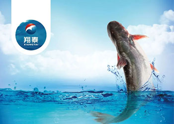 繼金鯧魚(yú)、海南鯛之后！翔泰漁業(yè)全力打造第三條精品魚(yú)【海南巴沙魚(yú)】