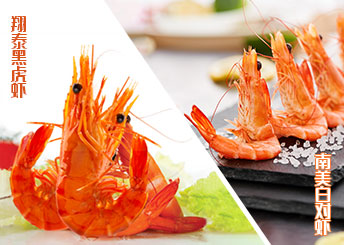 翔泰優(yōu)質(zhì)白蝦黑虎蝦搶“鮮”上市！至鮮美味 源自海南！