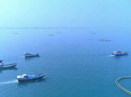 首批漁獲——翔泰2023金鯧魚全面開捕，從南海到餐桌，全程可追溯！